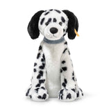 Dalmation Oskar Sitting