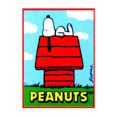 Peanuts illustration of Snoopy resting on a red doghouse beneath a blue sky with clouds