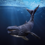 Humpback Whale Puppet swimming underwater with detailed flippers and tail 马会