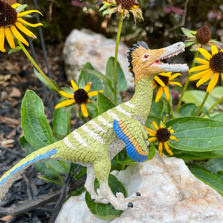 Austroraptor toy showing green, blue, and brown feathers with a black crest, standing among yellow flowers outdoors.