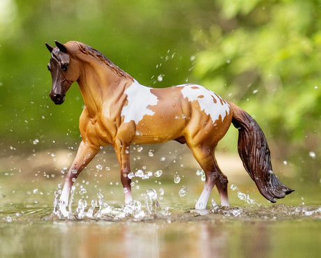 Red Dun Pintaloosa model horse walking through water with detailed Pinto and Appaloosa coat pattern in natural setting.
