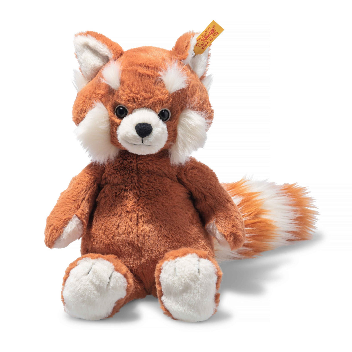Red Panda Benji