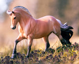 Norwegian Fjord mare model standing on grass with detailed muscles and flowing black and white mane and tail