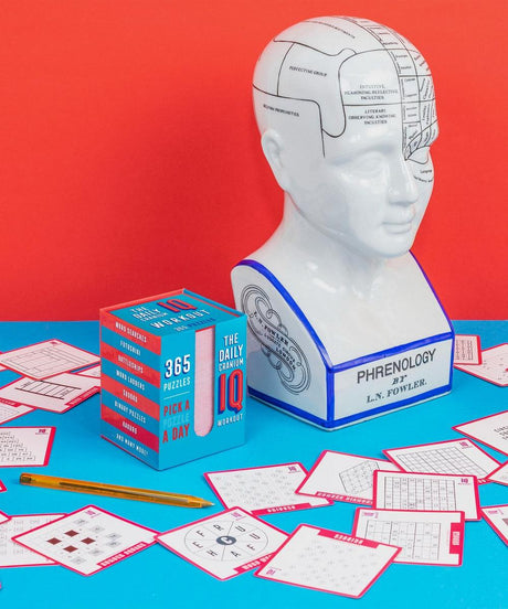 Puzzle A Day 365 with daily brainteaser cards displayed alongside a phrenology head model on a blue surface.