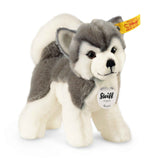 Husky Bernie plush dog with soft grey and white fur, friendly face, and soulful eyes, Steiff original collectible toy.
