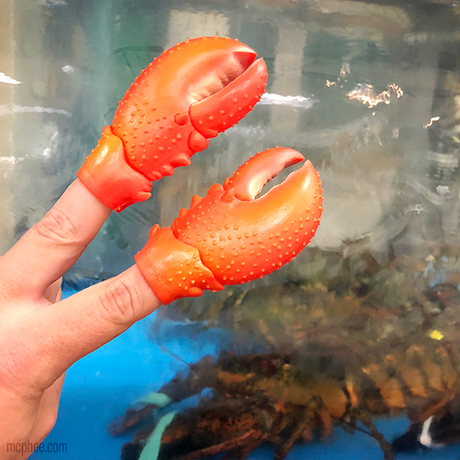 Finger Lobster Claw on two fingers showing realistic soft vinyl claw wearable finger puppet.