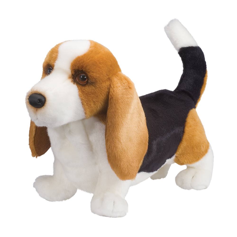 Basset Hound Harold