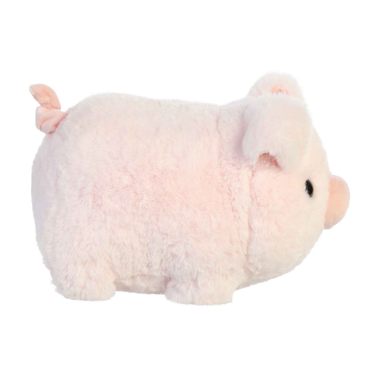 Spudster Pig Cutie