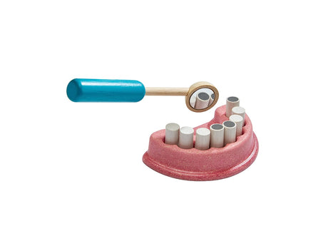 Dentist Set with wooden teeth and dental mirror for pretend play teaching dental hygiene and care for kids.