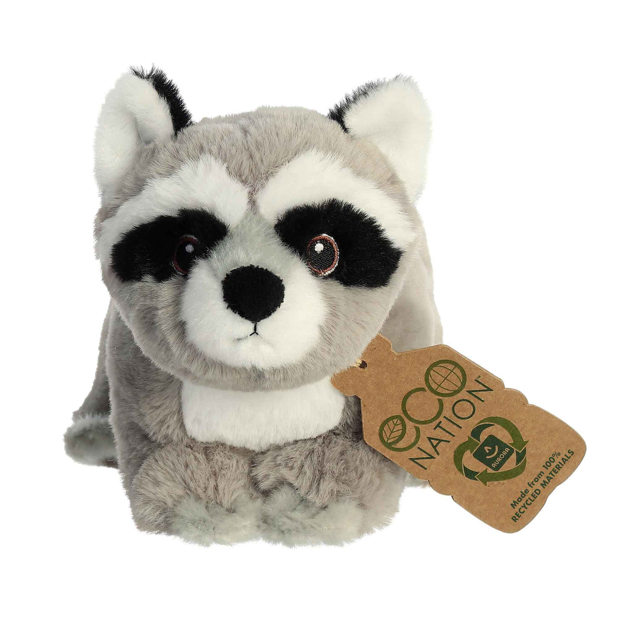 Raccoon Eco