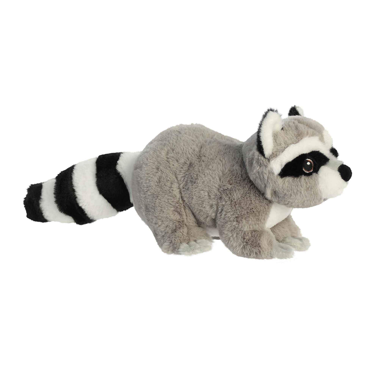 Raccoon Eco