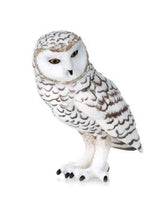 Snowy Owl