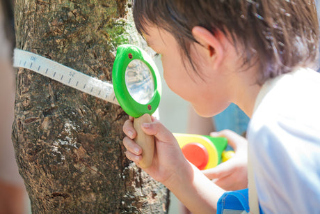 Child using Wooden Leaf Magnifier with green frame and wooden handle to explore tree bark outdoors.