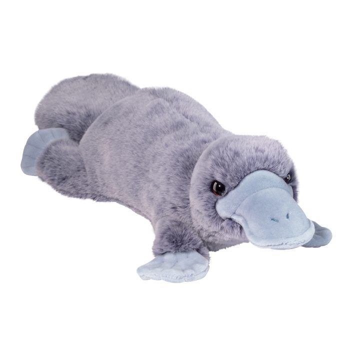 Dog best sale toy platypus