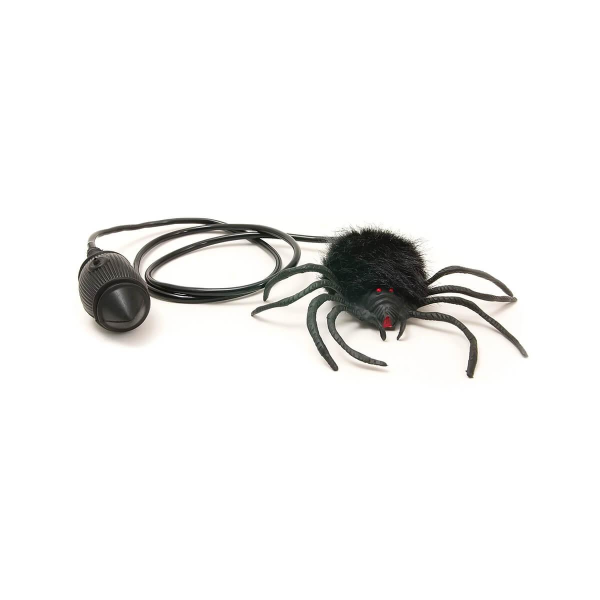 Hairy Jumping Spider – Treehouse Toys