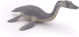 Plesiosaurus