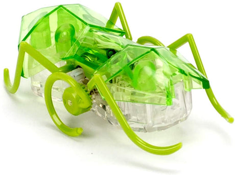 Hex Bots Micro Ant in green, a small motorized bug toy that scurries fast on multiple surfaces for hours of fun.