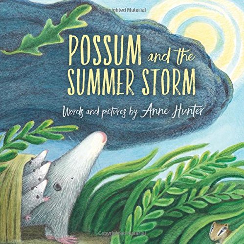 Possum and the Summer Storm