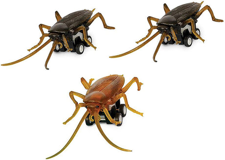Three realistic Racing Roach pullback toys in black and brown with wheels for fast skittering play.
