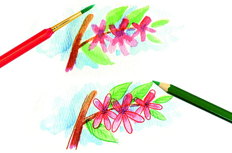 Watercolor Paper showing detailed floral watercolor and colored pencil artwork with green pencil and red brush.