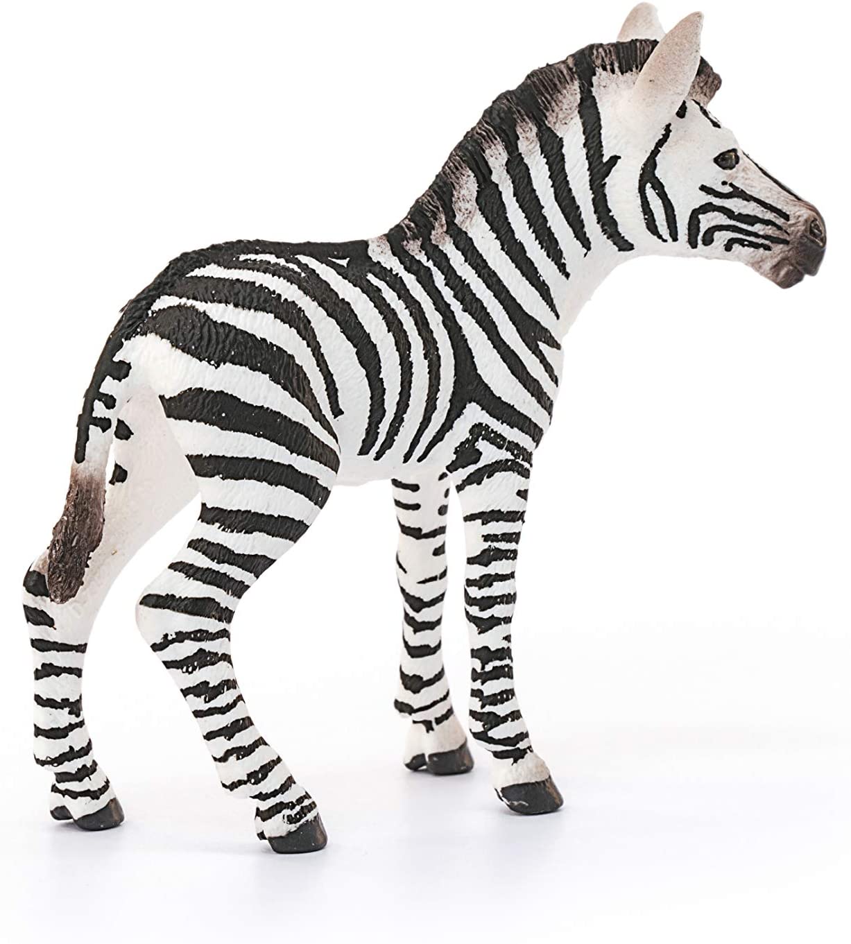 Zebra Foal figurine with detailed black and white stripes and mane extending along its back, standing on white background.