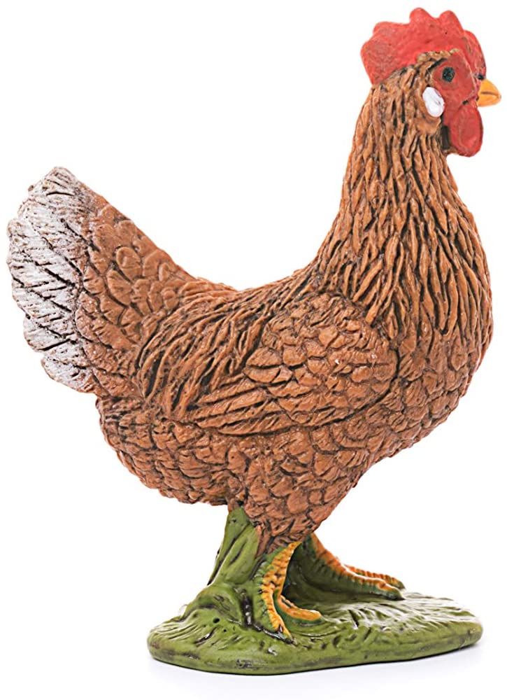 Hen