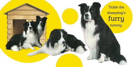 Touch & Feel Farm shows a furry sheepdog encouraging children to explore textures and learn animal recognition.