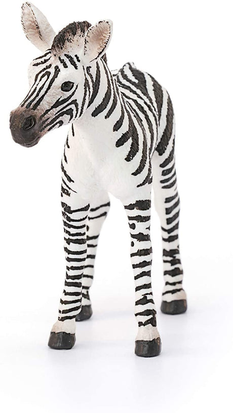 Zebra Foal figurine showing detailed black and white stripes and mane running along its back.