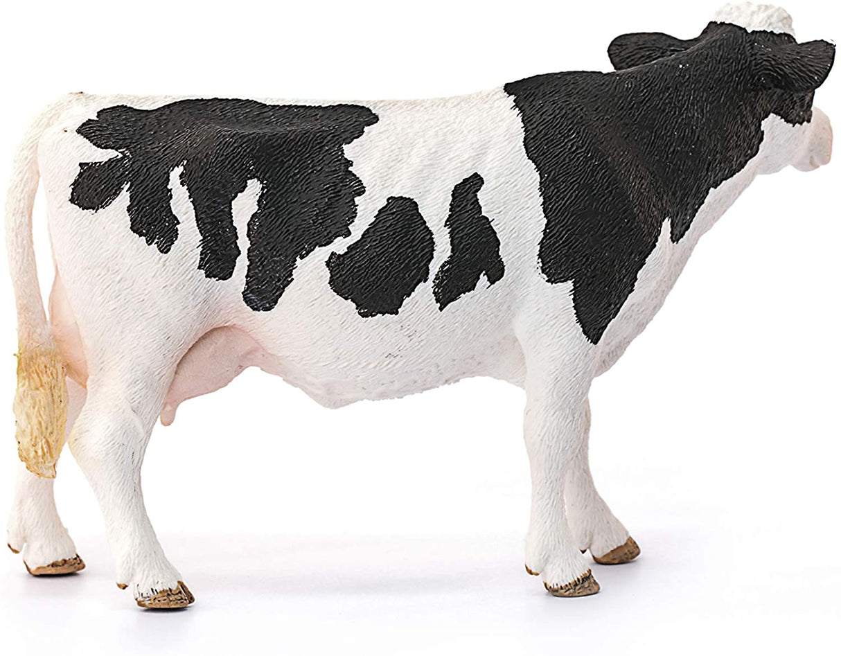 Holstein Cow