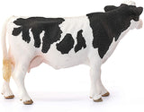 Holstein Cow