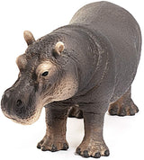 Hippopotamus