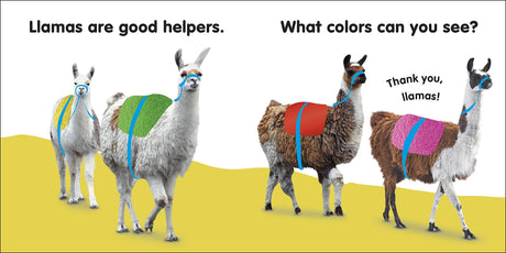 Touch & Feel Llama board book page with colorful llamas and interactive tactile elements for young children.