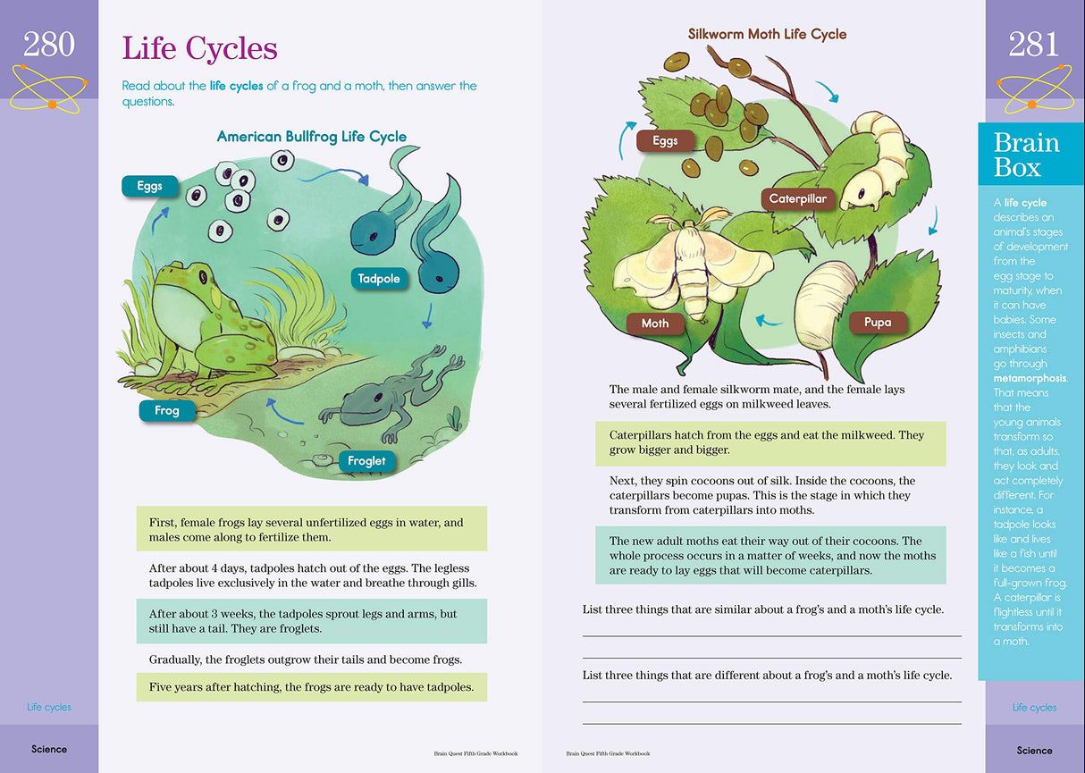 Brain Quest Workbook Grade 5