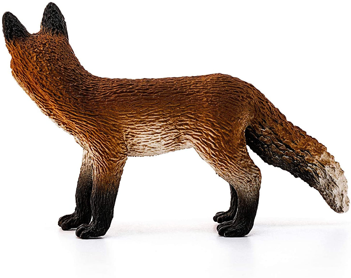 Fox