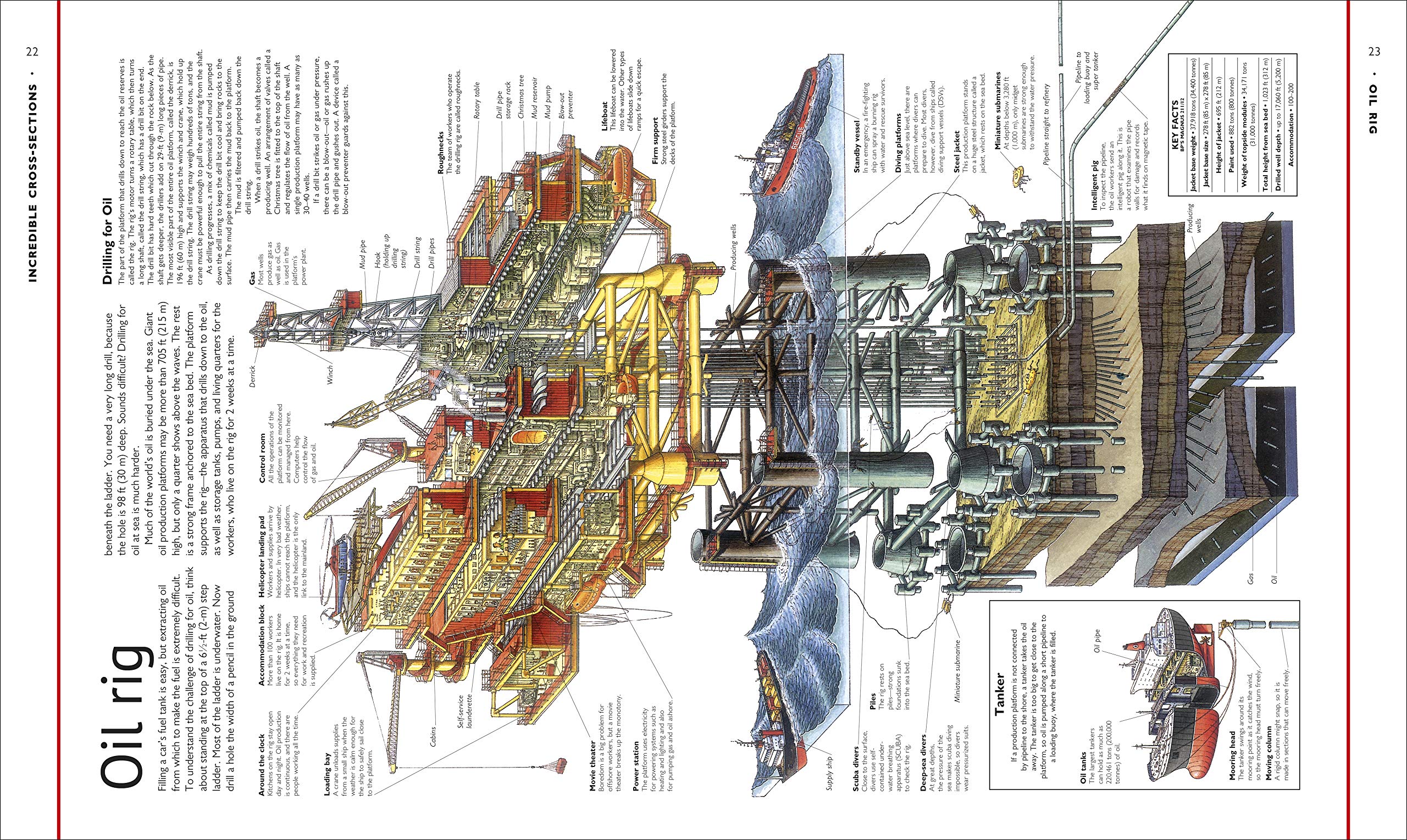 Stephen Biesty's Incredible Cross-Sections – Treehouse Toys