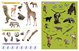 Ultimate Sticker Book | Baby Animals featuring diverse animal stickers and scenes for creative play and learning.
