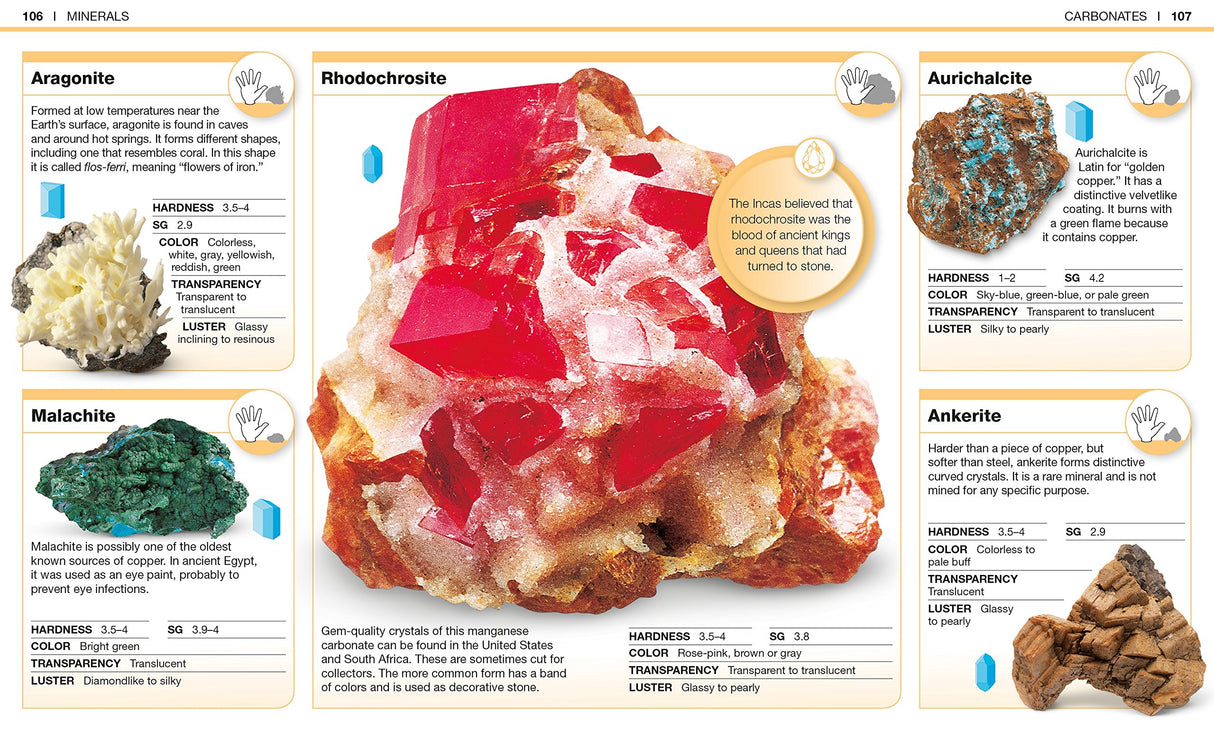 Pocket Genius Rocks & Minerals