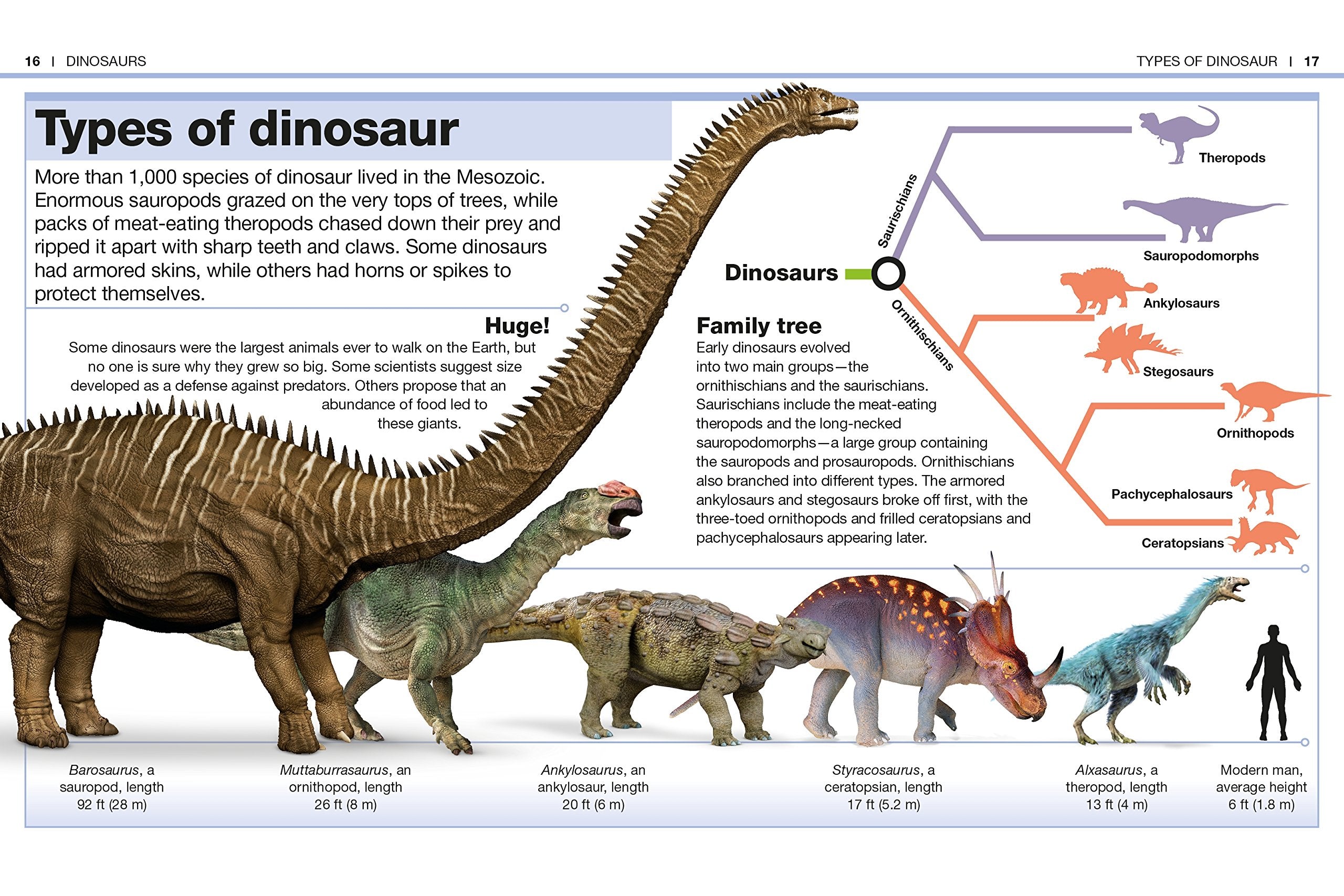 dino13ページです Dino-Dig VR Discover Dinosaurs In Virtual Reality Abacus Brands