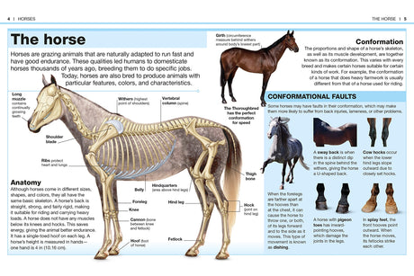 Pocket Genius Horses showing detailed horse anatomy, bone structure, and conformational faults in a compact educational guide.
