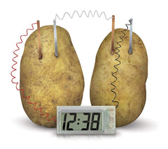 Potato Clock powered by two potatoes with wires and digital display showing time, teaching green energy concepts.