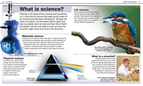 Pocket Genius Science book page explaining basic science concepts with images of a kingfisher and a prism diagram.