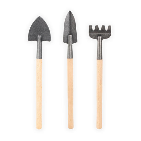 Mini Garden Tool Set with three compact stainless steel tools and beechwood handles for indoor gardening.