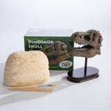 Dig a Dinosaur Skull kit with plaster block, wooden tools, and finished dino skull replica on display stand.