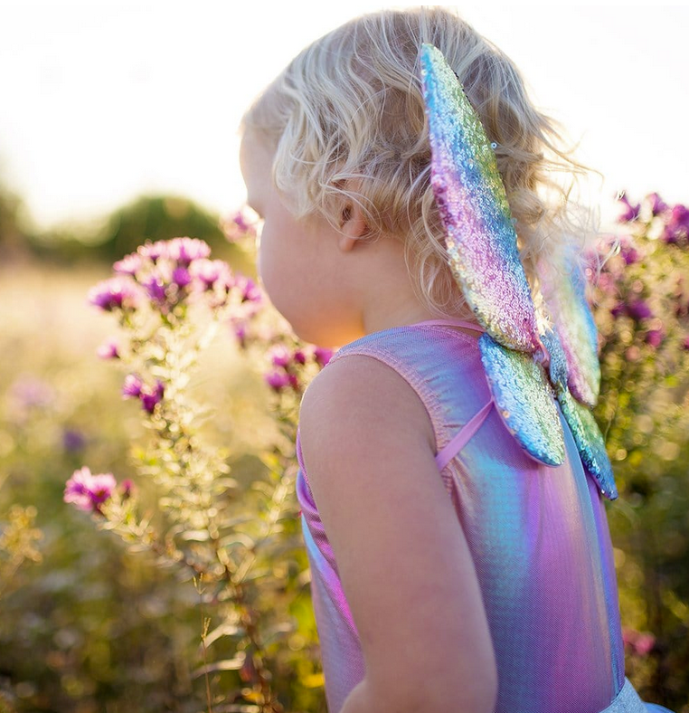 Rainbow Sequin Skirt, Wings & Wand