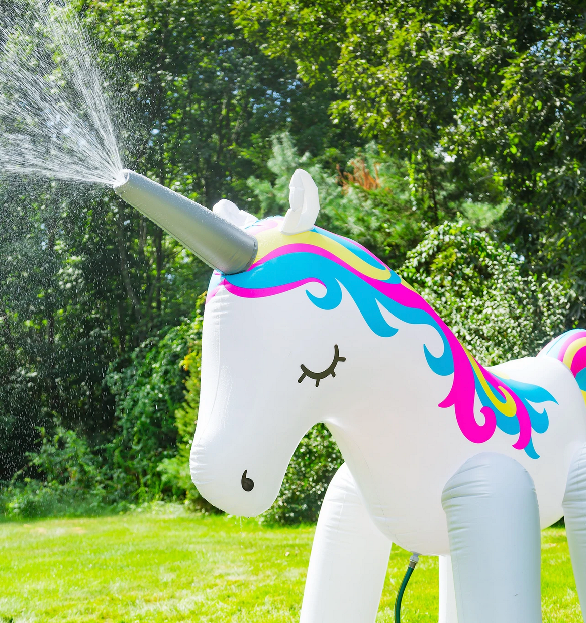 Sprinkler | Giant Unicorn