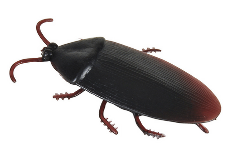 Cockroach! realistic 2-inch black and brown prank toy cockroach perfect for harmless fun and surprising your friends.