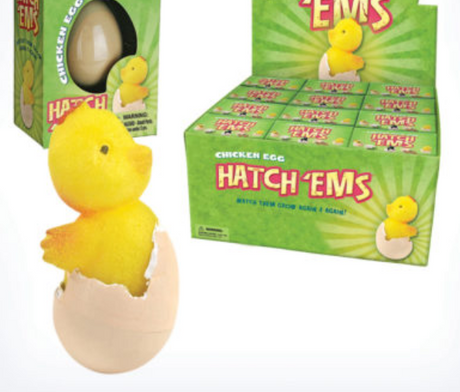 Hatch Em Chicken toy showing a yellow chick hatching from an egg, with product packaging and display box.