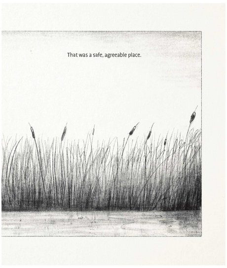 The Capybaras book illustration showing a peaceful reed marsh described as a safe, agreeable place.