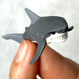 Japanese Eraser Shark