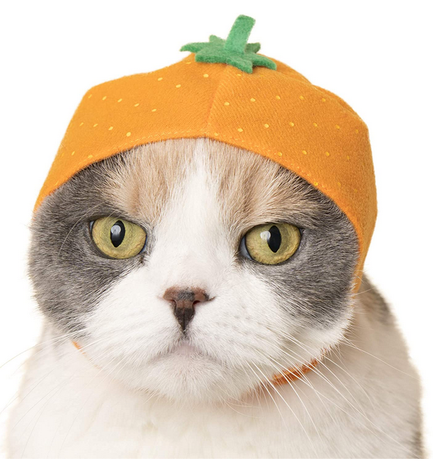 Cat wearing a bright orange fruit-themed hat with green leaf top, Cat Cap Blind Box Fruit product.